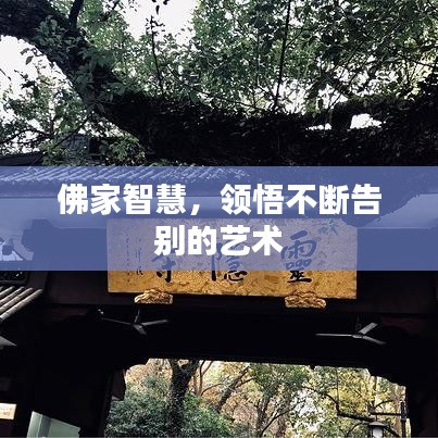 佛家智慧，領悟不斷告別的藝術