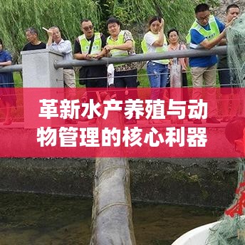 革新水產(chǎn)養(yǎng)殖與動物管理的核心利器，新型高效智能地籠