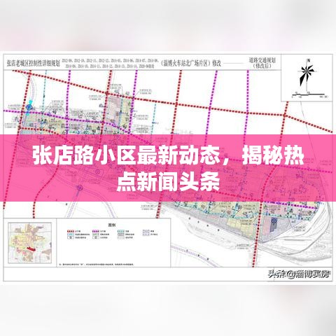 張店路小區(qū)最新動態(tài)，揭秘熱點新聞頭條