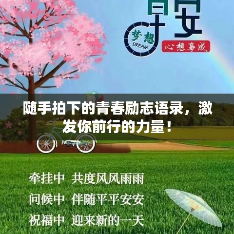 隨手拍下的青春勵(lì)志語(yǔ)錄，激發(fā)你前行的力量！
