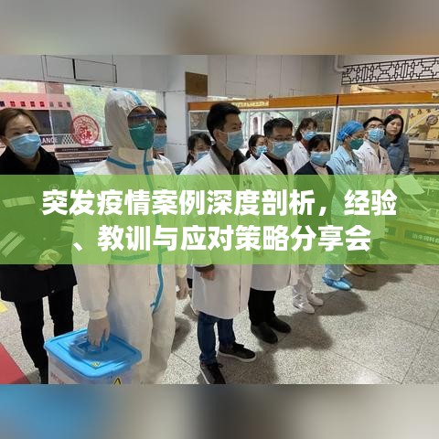 突發(fā)疫情案例深度剖析，經(jīng)驗(yàn)、教訓(xùn)與應(yīng)對(duì)策略分享會(huì)