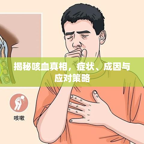 揭秘咳血真相，癥狀、成因與應(yīng)對(duì)策略