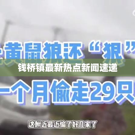 錢橋鎮(zhèn)最新熱點(diǎn)新聞速遞