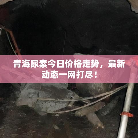 青海尿素今日價(jià)格走勢(shì)，最新動(dòng)態(tài)一網(wǎng)打盡！