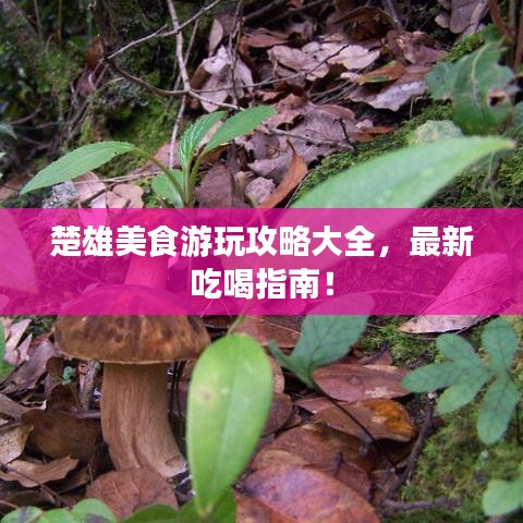 鳥聲獸心 第2頁(yè)