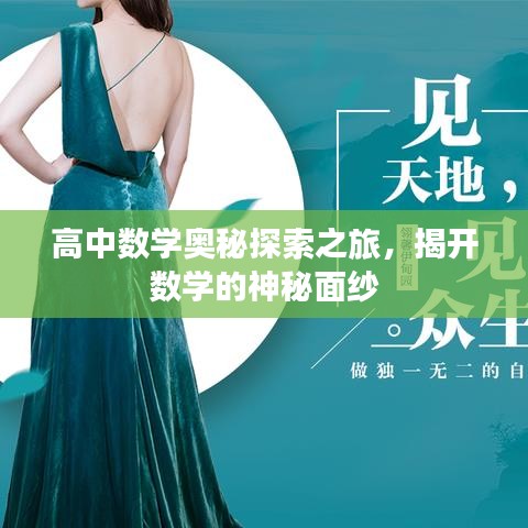 高中數(shù)學(xué)奧秘探索之旅，揭開(kāi)數(shù)學(xué)的神秘面紗
