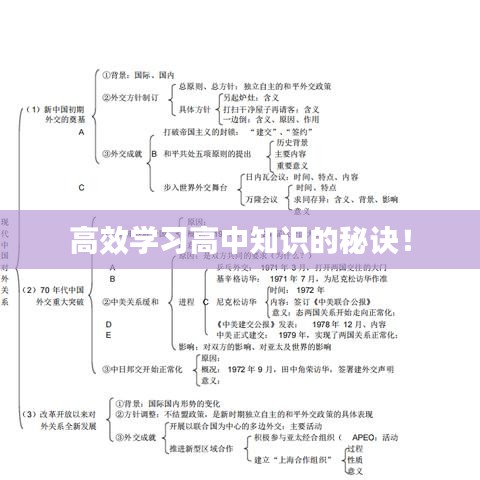 高效學(xué)習(xí)高中知識(shí)的秘訣！