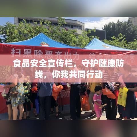 食品安全宣傳欄，守護健康防線，你我共同行動