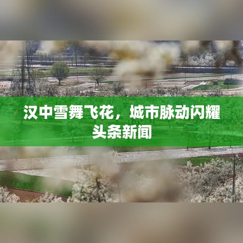 漢中雪舞飛花，城市脈動(dòng)閃耀頭條新聞