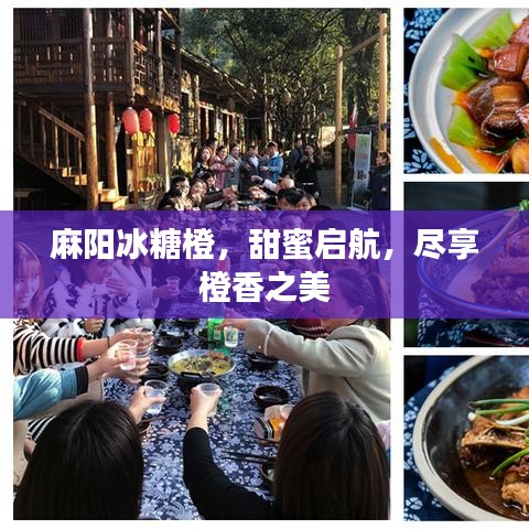 麻陽冰糖橙，甜蜜啟航，盡享橙香之美