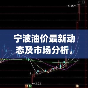 寧波油價(jià)最新動(dòng)態(tài)及市場(chǎng)分析，今日關(guān)注焦點(diǎn)