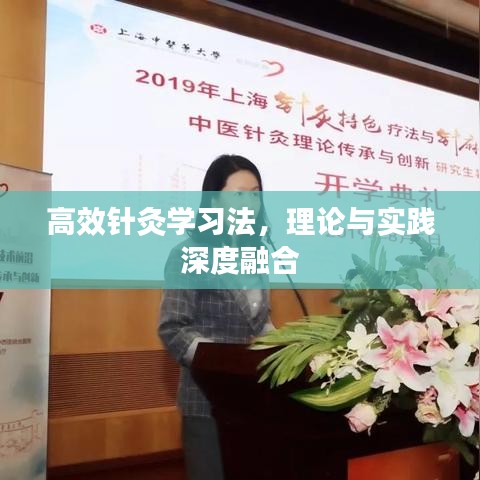 高效針灸學(xué)習(xí)法，理論與實(shí)踐深度融合