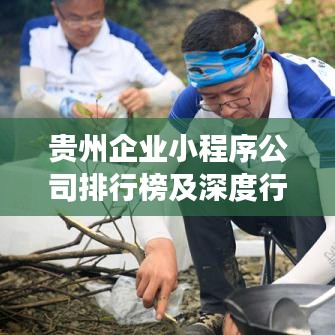 貴州企業(yè)小程序公司排行榜及深度行業(yè)洞察揭秘！