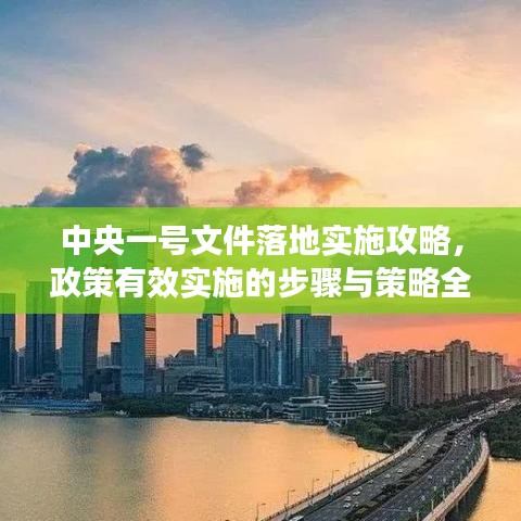 中央一號文件落地實施攻略，政策有效實施的步驟與策略全解析