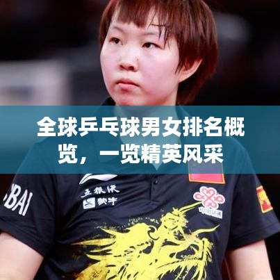 全球乒乓球男女排名概覽，一覽精英風(fēng)采