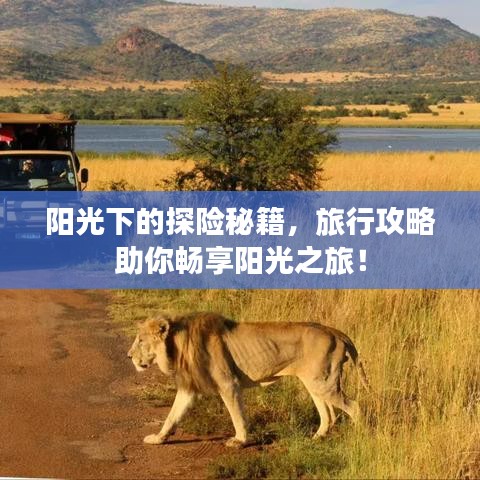 陽(yáng)光下的探險(xiǎn)秘籍，旅行攻略助你暢享陽(yáng)光之旅！