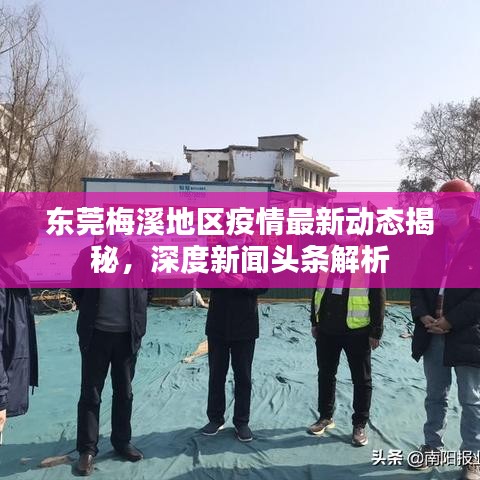 東莞梅溪地區(qū)疫情最新動(dòng)態(tài)揭秘，深度新聞?lì)^條解析
