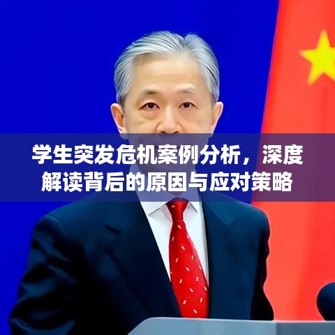 學(xué)生突發(fā)危機(jī)案例分析，深度解讀背后的原因與應(yīng)對(duì)策略