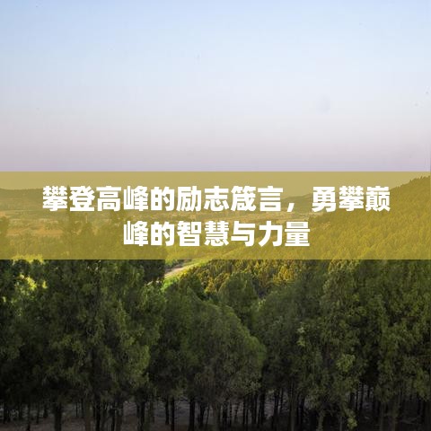 攀登高峰的勵(lì)志箴言，勇攀巔峰的智慧與力量