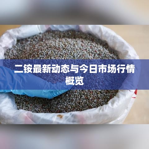 二銨最新動態(tài)與今日市場行情概覽