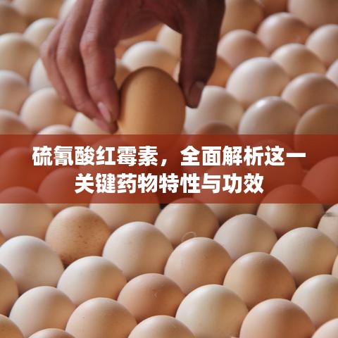 硫氰酸紅霉素，全面解析這一關(guān)鍵藥物特性與功效