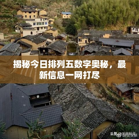 揭秘今日排列五數(shù)字奧秘，最新信息一網打盡