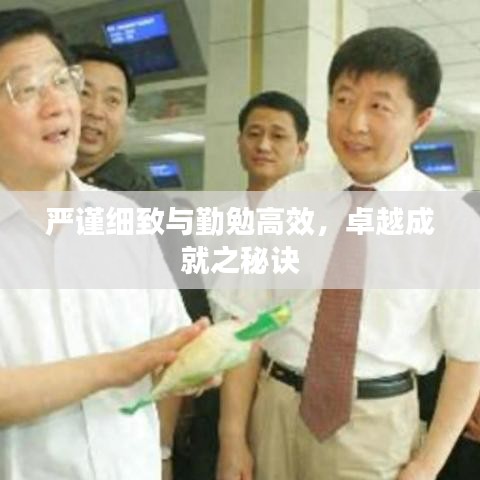 嚴謹細致與勤勉高效，卓越成就之秘訣