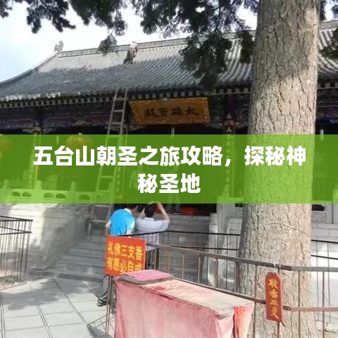 五臺山朝圣之旅攻略，探秘神秘圣地