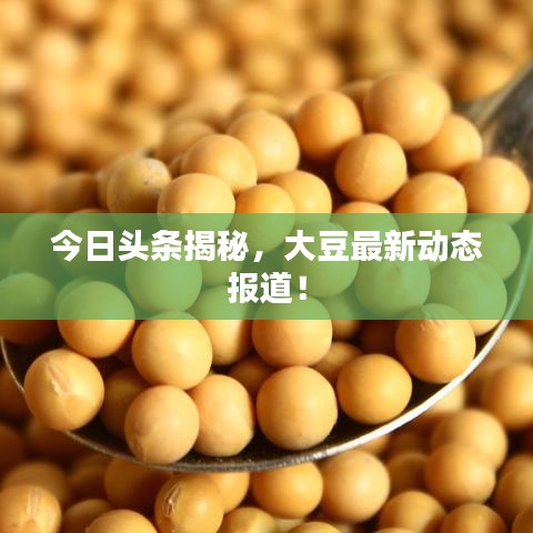 今日頭條揭秘，大豆最新動態(tài)報道！