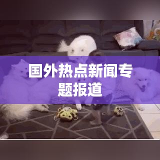 國(guó)外熱點(diǎn)新聞專題報(bào)道