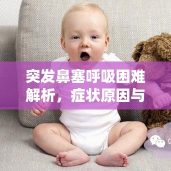 突發(fā)鼻塞呼吸困難解析，癥狀原因與應(yīng)對方法