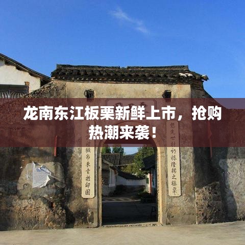 龍南東江板栗新鮮上市，搶購(gòu)熱潮來(lái)襲！