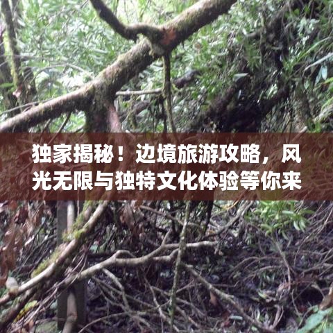 獨(dú)家揭秘！邊境旅游攻略，風(fēng)光無限與獨(dú)特文化體驗(yàn)等你來探秘！