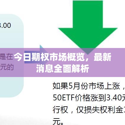 今日期權(quán)市場(chǎng)概覽，最新消息全面解析