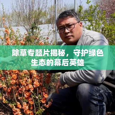 除草專題片揭秘，守護(hù)綠色生態(tài)的幕后英雄
