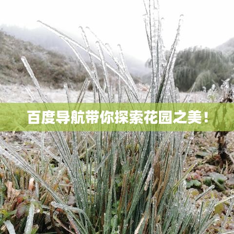 百度導(dǎo)航帶你探索花園之美！