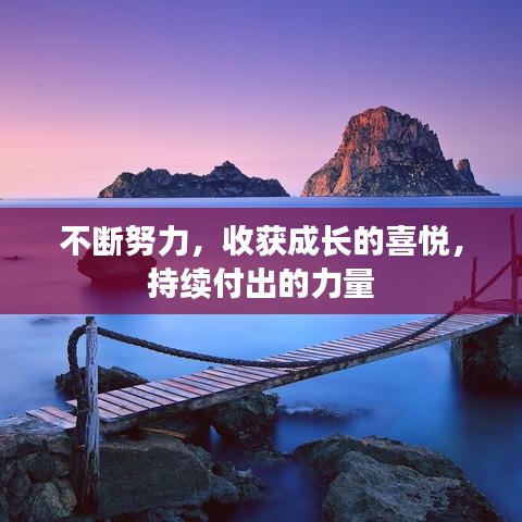 不斷努力，收獲成長的喜悅，持續(xù)付出的力量