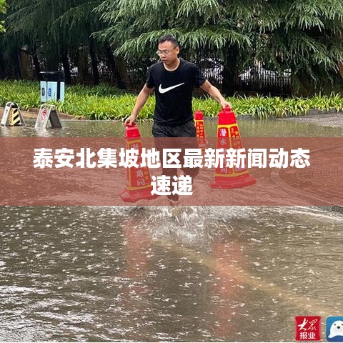 泰安北集坡地區(qū)最新新聞動態(tài)速遞