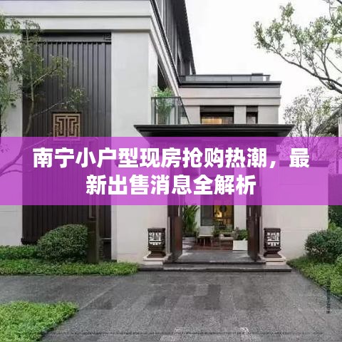 南寧小戶型現(xiàn)房搶購(gòu)熱潮，最新出售消息全解析