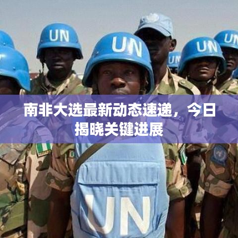 南非大選最新動態(tài)速遞，今日揭曉關鍵進展