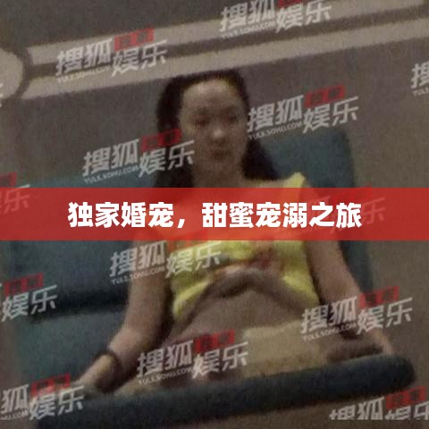 獨家婚寵，甜蜜寵溺之旅