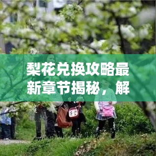 梨花兌換攻略最新章節(jié)揭秘，解鎖虛擬世界財(cái)富之門