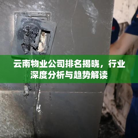 云南物業(yè)公司排名揭曉，行業(yè)深度分析與趨勢解讀