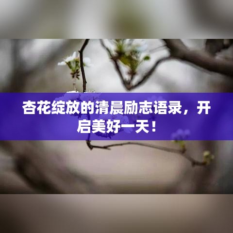 杏花綻放的清晨勵(lì)志語(yǔ)錄，開啟美好一天！