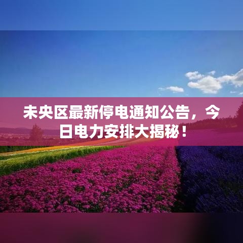 未央?yún)^(qū)最新停電通知公告，今日電力安排大揭秘！