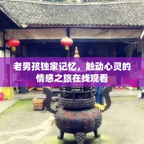 老男孩獨(dú)家記憶，觸動(dòng)心靈的情感之旅在線觀看