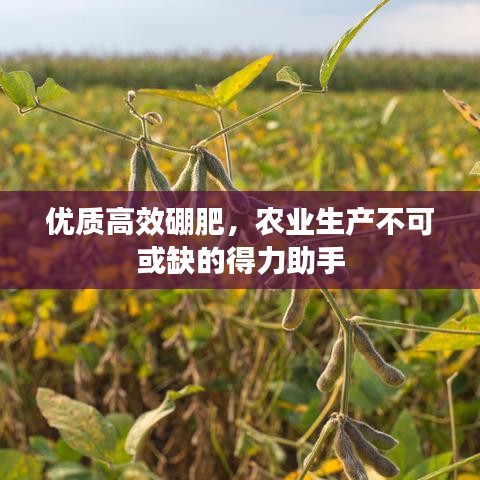 優(yōu)質(zhì)高效硼肥，農(nóng)業(yè)生產(chǎn)不可或缺的得力助手