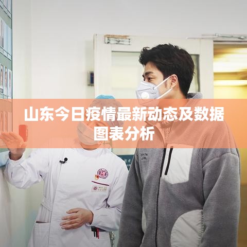 山東今日疫情最新動態(tài)及數(shù)據(jù)圖表分析