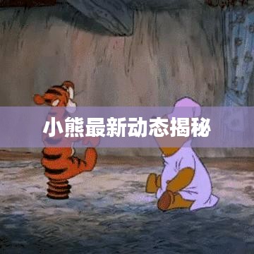 小熊最新動(dòng)態(tài)揭秘