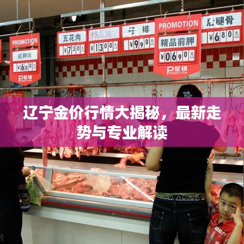遼寧金價行情大揭秘，最新走勢與專業(yè)解讀
